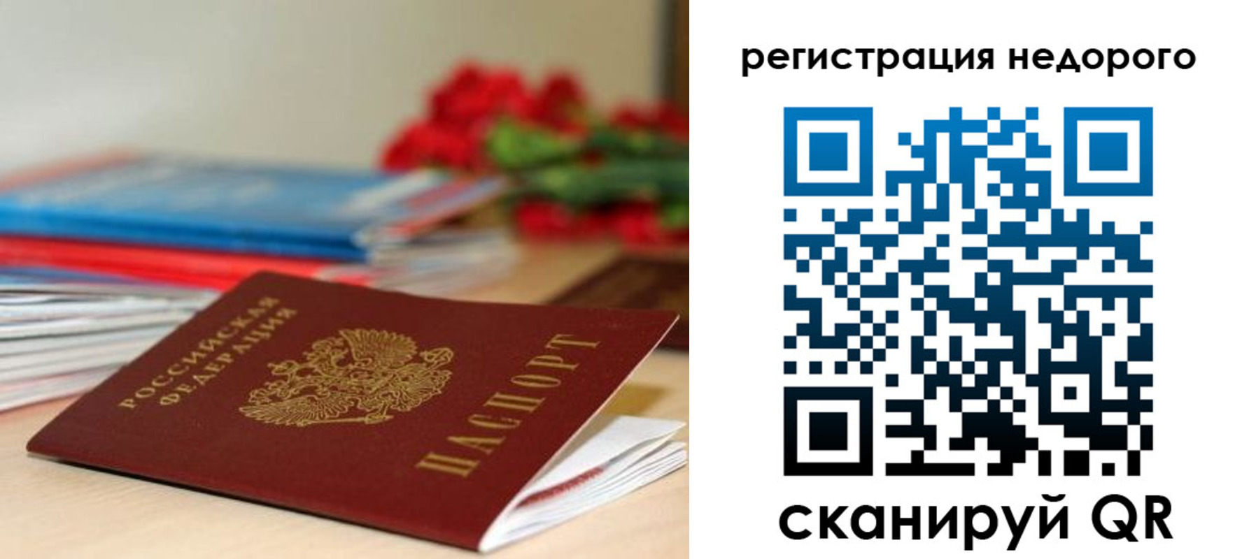 временная регистрация гарантия в Луге